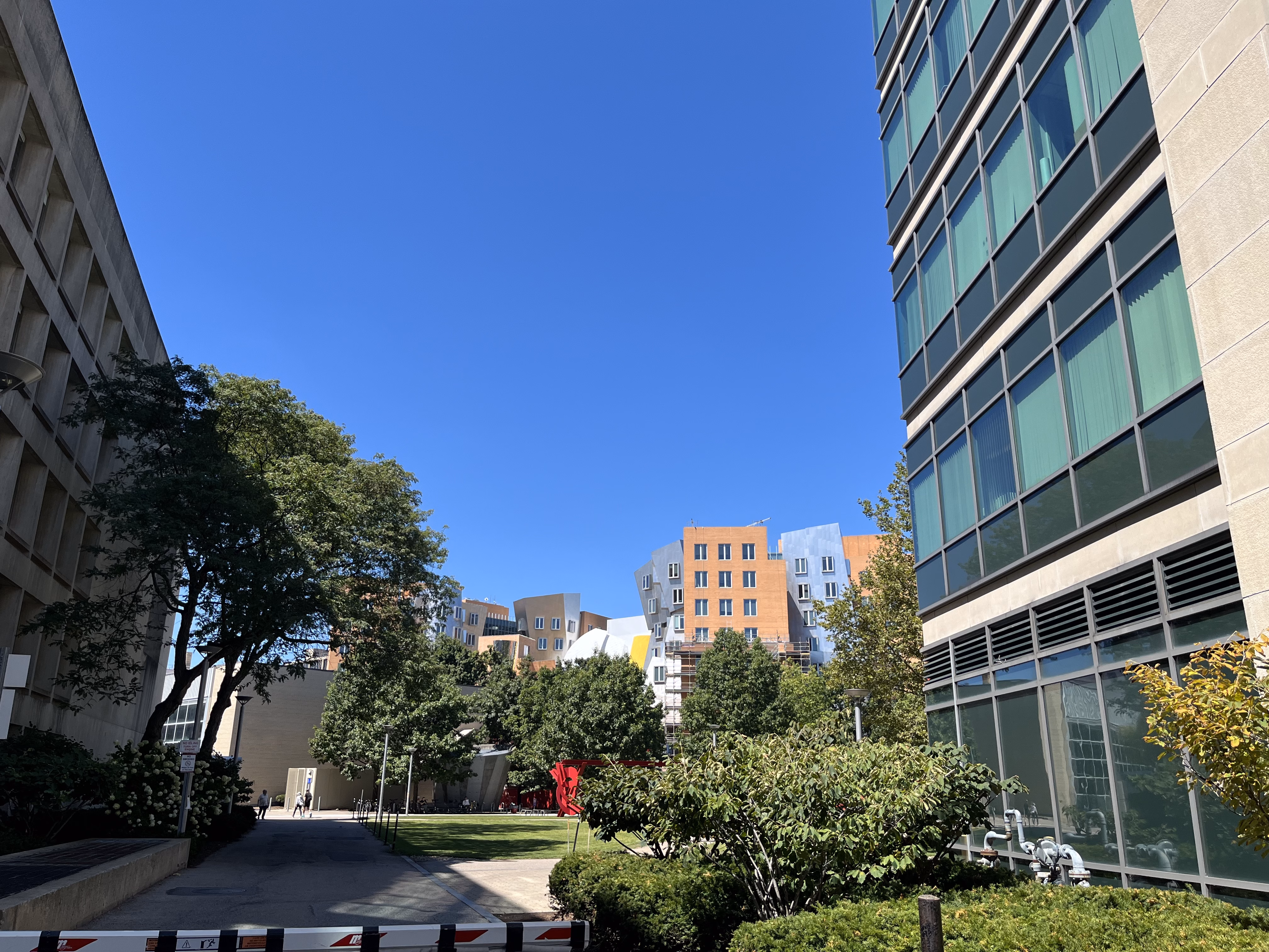 A not so clear view of the Stata Center across the road.